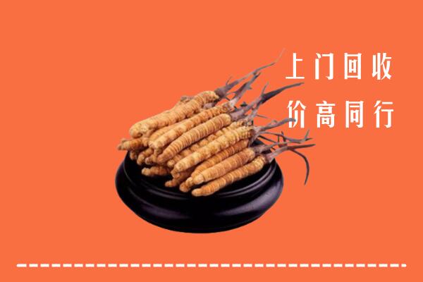 高价求购：呼和浩特和林格尔县回收散虫草