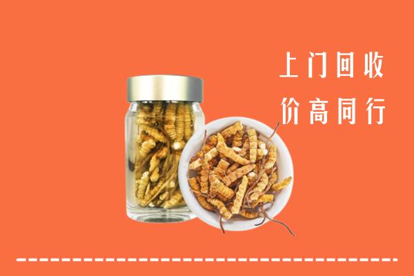 呼和浩特和林格尔县回收冬虫夏草