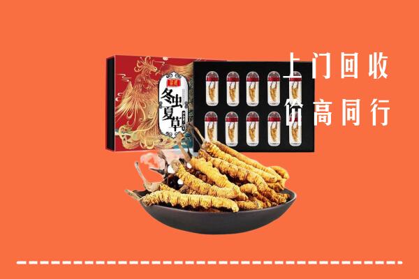 呼和浩特和林格尔县回收虫草